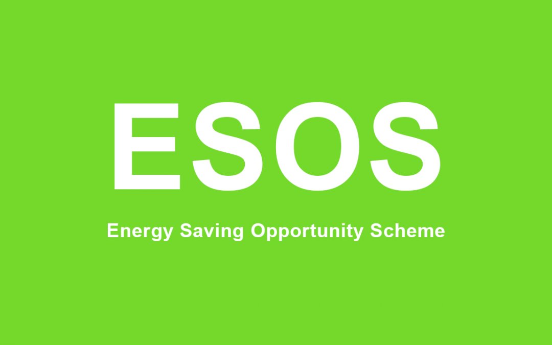 Does your business qualify for ESOS?