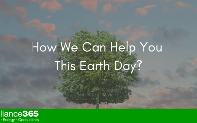 How We Can Help You This Earth Day?