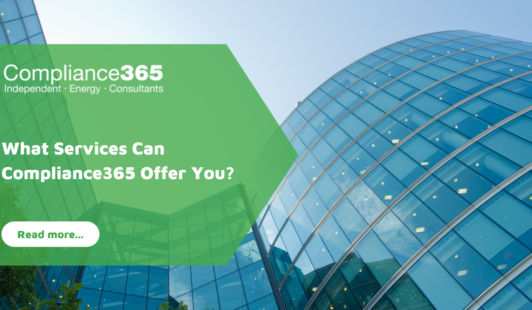 What Services Can Compliance365 Offer You?